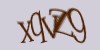 tekshiruvchi kod
